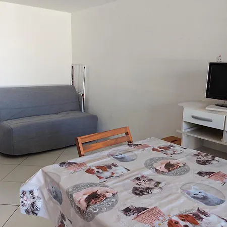 T2 Mezzanine Climatisee Avec Cour - 6 Pers - Parking - Proche - Meuble Tourisme 1* - Fr-1-797-44 Willa *