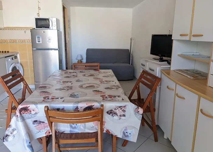 T2 Mezzanine Climatisee Avec Cour - 6 Pers - Parking - Proche - Meuble Tourisme 1* - Fr-1-797-44 *
